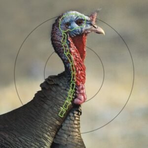 B/C TARGET PREGAME 12"X18" - TURKEY 8 TARGETS