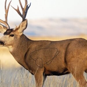 B/C TARGET EZE-SCORER 23"X35" - MULE DEER 2 TARGETS