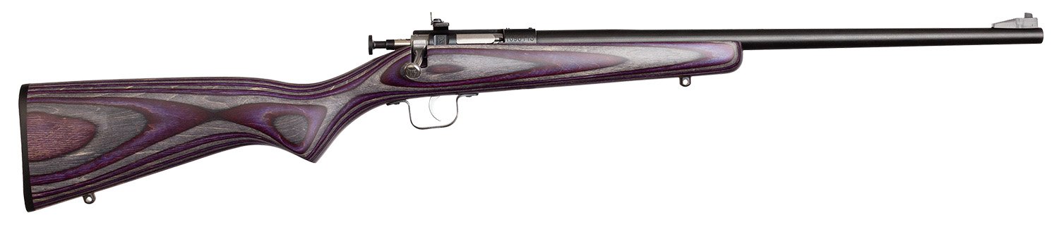 KEYSTONE SPORTING ARMS CRICKETT 22LR BL/PURPLE LAM