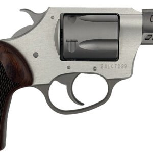 CHARTER ARMS COYOTE 380ACP SS 2" 5RD