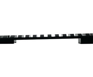 DNZ REM 700 LA PIC RAIL 20MOA W/8-40