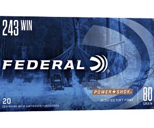 FED PWRSHK 243WIN 80GR SP 20/200