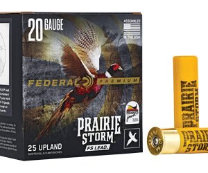 FED PR STORM 20GA 3" #6 LEAD 25/250