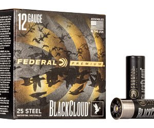 FED BLK CLOUD 12GA 3" #2 25/250