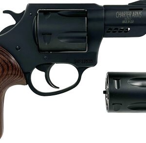 CHARTER ARMS DOUBLE DOG 2.2" - 9MM/357 MAG PORTED BLACK