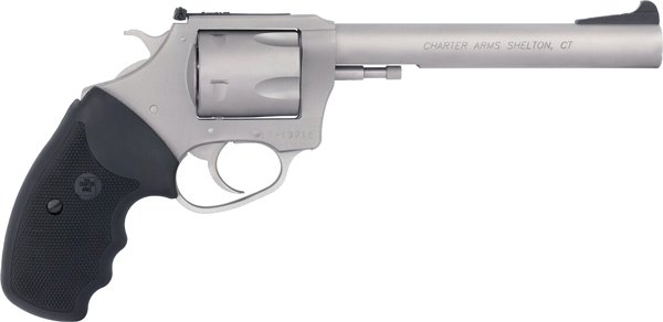 CHARTER ARMS PIT BULL 9MM - 6" ADJ S/S - Image 2
