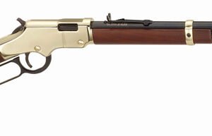 HENRY H4 GOLDENBOY 22WMR - 20.5" OCTAGON WALNUT