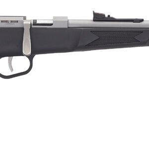 HEN MINI BOLT G2 22LR SNG SS