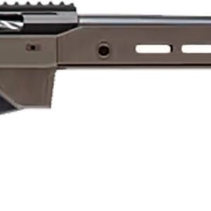 BTA TKA T3X ACE GM 22-250 10BZ