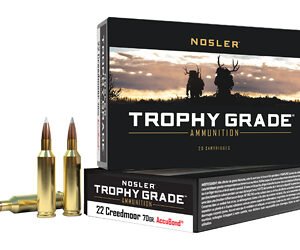 NOSLER TGA 22CM 70GR AB 20/200
