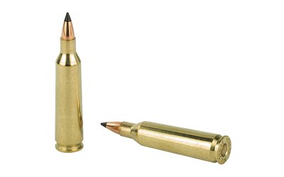 NOSLER VG 22-250 55GR FB TIP 20/200 - Image 4