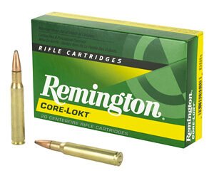 REM 30-06 165GR PSP CL 20/200