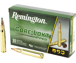 REM 30-06SPRG 180GR CL TIPPED 20/200