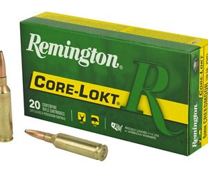 REM 6MM CM 100GR CL 20/200