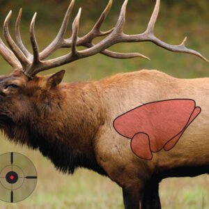 B/C TARGET PREGAME 16.5"X24" - ELK TARGET 3-TARGETS