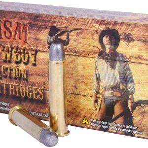 HSM 45-70 405GR CWBY RNFPHT 20