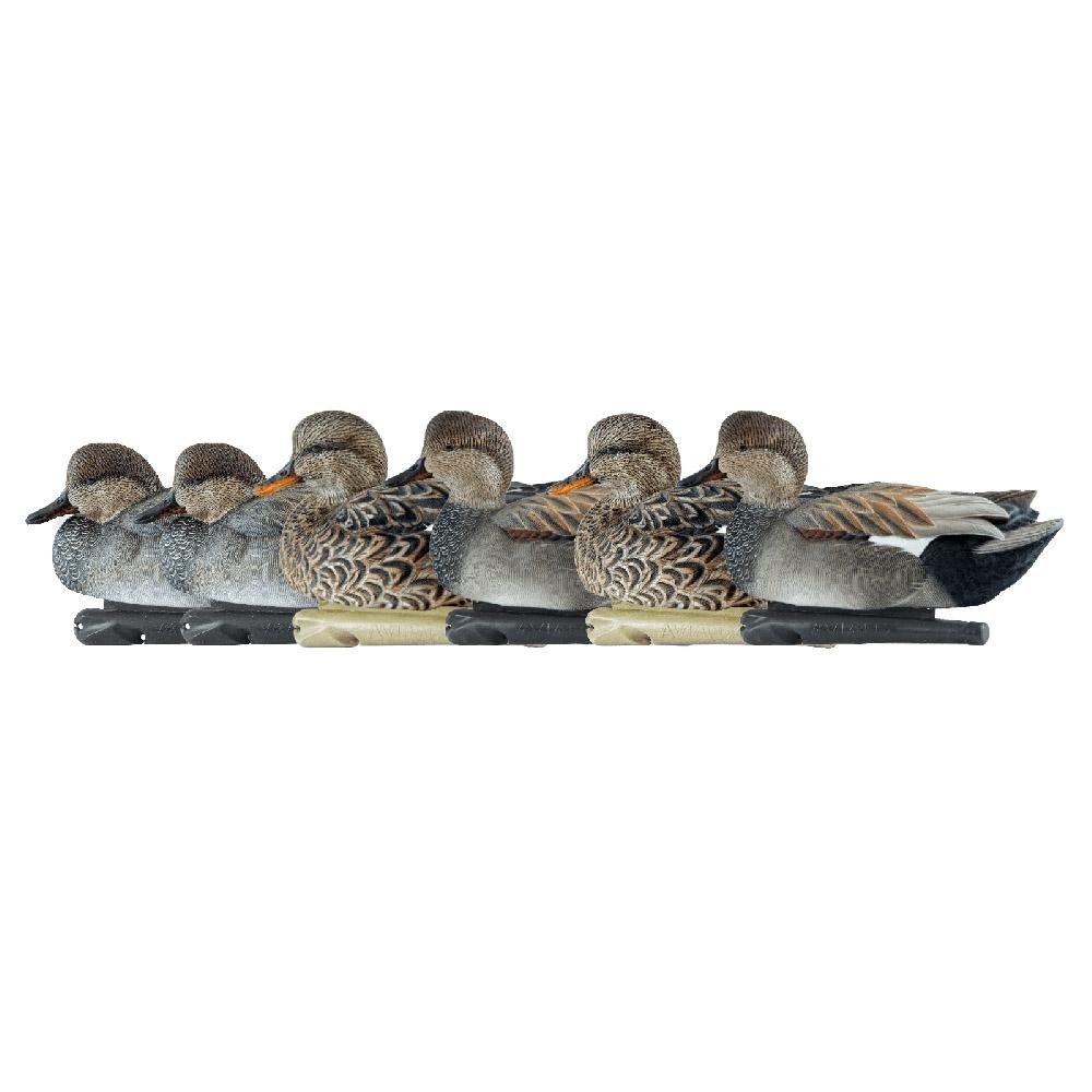 Avian-X Topflight Decoys Gadwall 6/ct