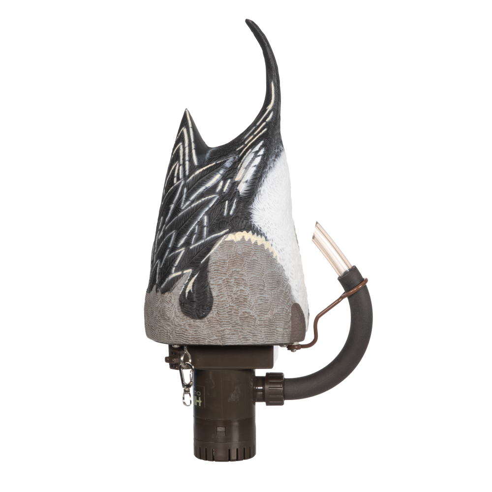 Higdon Motion Pulsator PRO Pintail