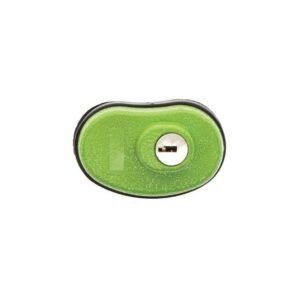 Lockdown Keyed Trigger Lock