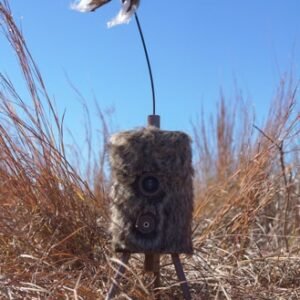 MOJO SUPER CRITTER W/CRITTER - TOPPER & SPEAKER