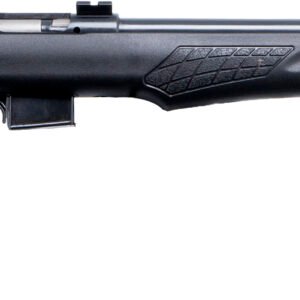 BRZ ROSSI RB17 17HMR BA 21B 5R