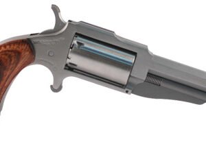 NORTH AMERICAN ARMS THE EARL 22LR/22MAG 3" SS 5SH